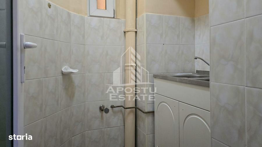 Spațiu comercial, de 250 mp, în Iosefin