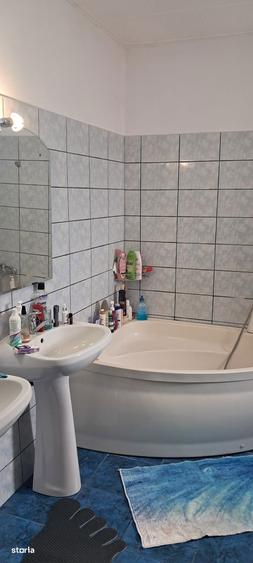 Casă cu 7 camere cu Teren 411 Mp în Iosefin
