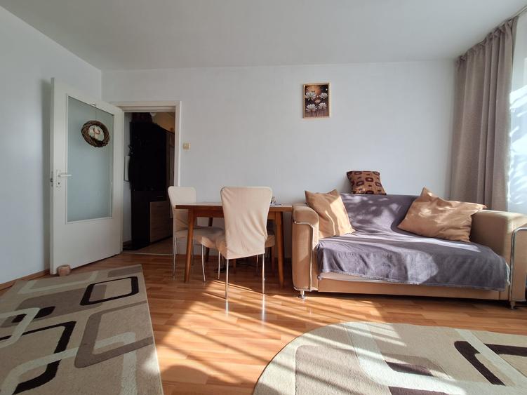Apartament cu 2 camere nedecomandat, mobilat în Șagului