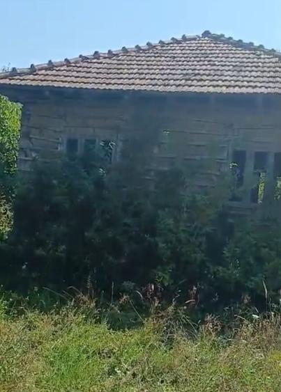 Casă în Central