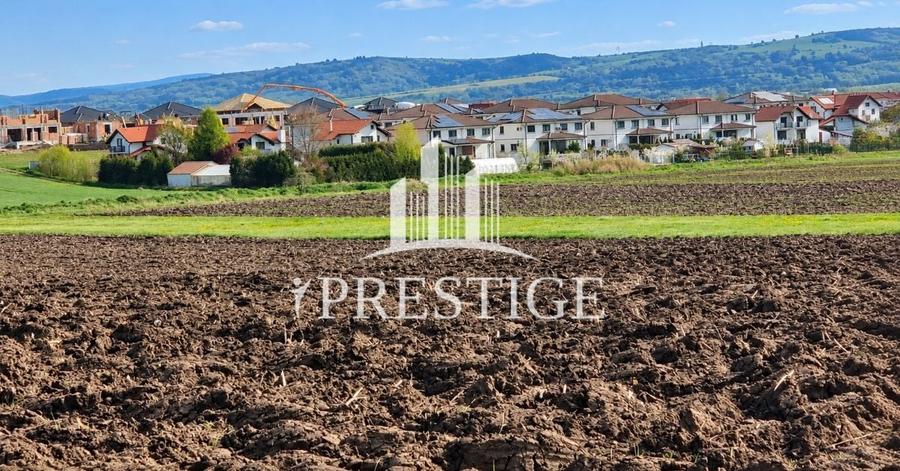Teren agricol extravilan de 10000 mp, în Șura Mică