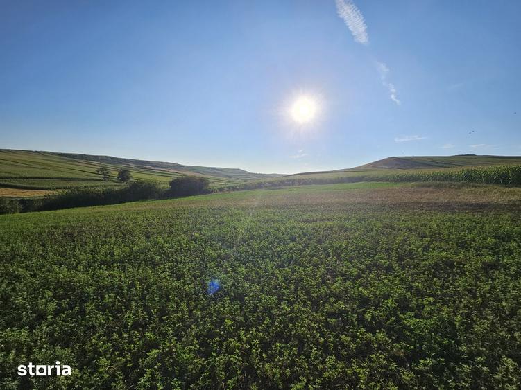 Casă cu 4 camere cu Teren 33000 Mp în Valea