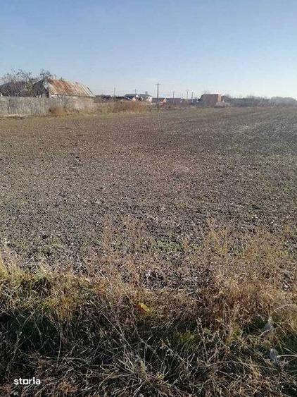 Teren de 6872 mp, în Săucești