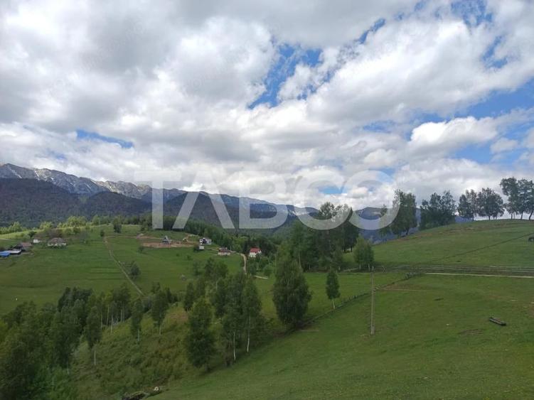 Teren intravilan cu o suprafata de 4778 mp in zona Pestera Moieciu - 3