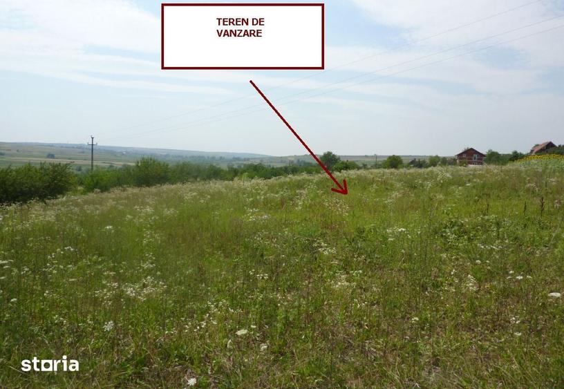 Teren de 11600 mp, în Cetariu