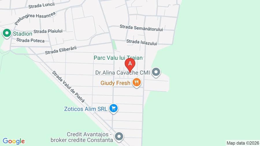 Teren Construcții intravilan de 10000 mp, în Valu lui Traian