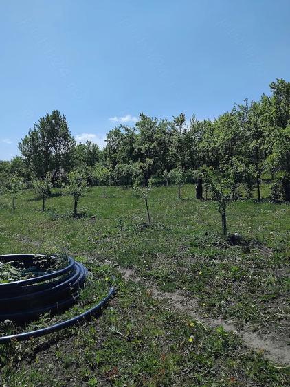 Teren de 6000 mp, în Fălticeni