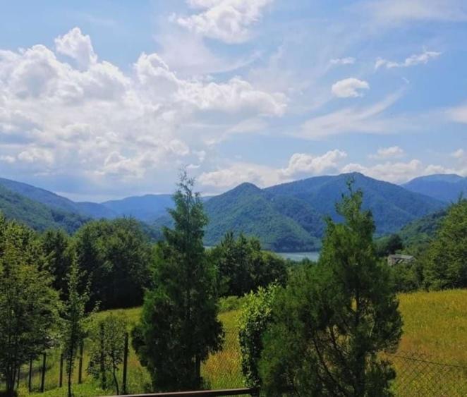 Teren de 700 mp, în Gura Siriului