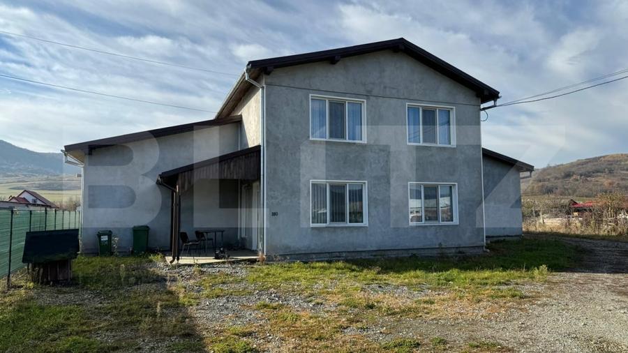 Afacere la cheie, casa de locuit si 28 ari de teren in Arcalia - 1