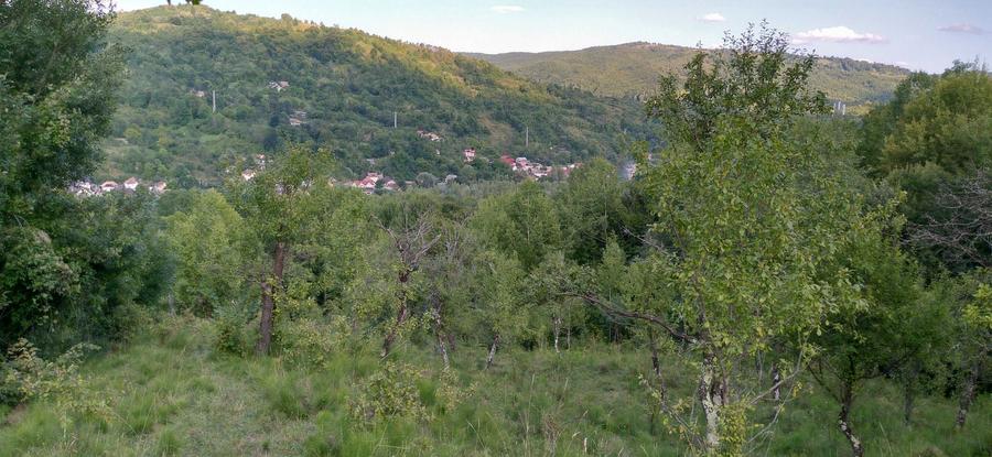 Vand pamant Moroeni - 9
