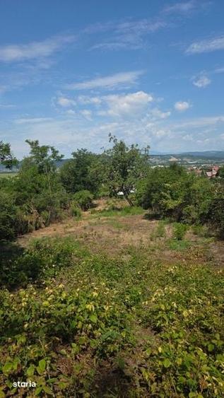 Teren de 1036 mp, în Vâlcea