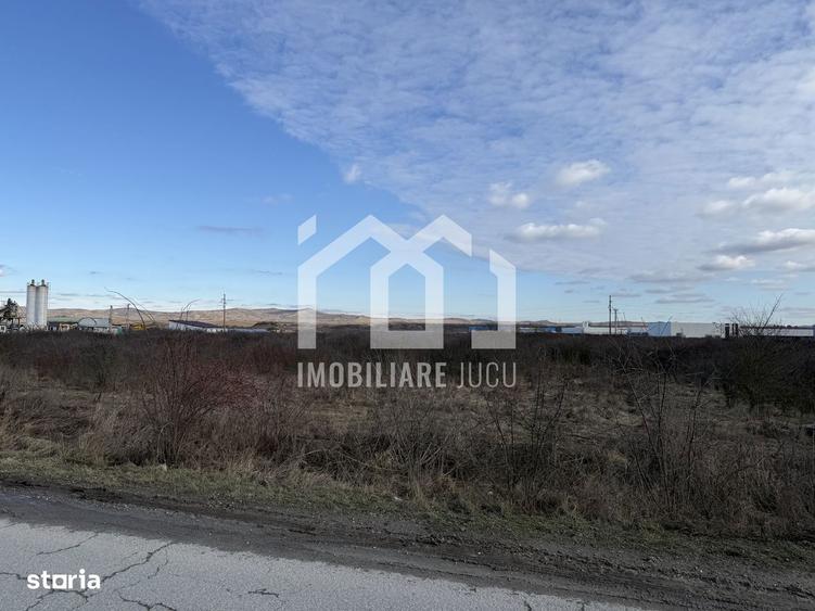 Teren intravilan industrial 5.755 mp | Bon?ida - 4