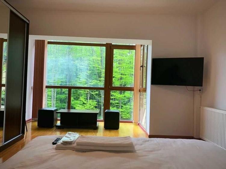 Apartament cu 2 camere decomandat în Furnica