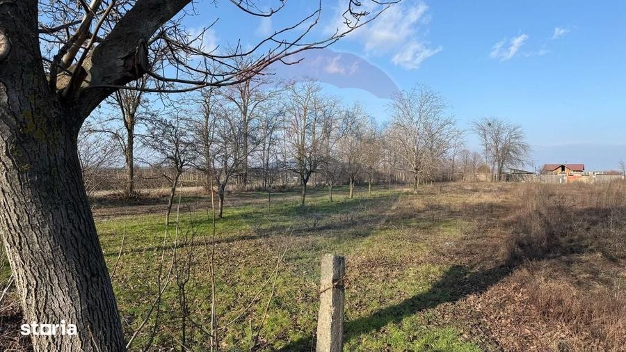 Spațiu comercial, în Petrești