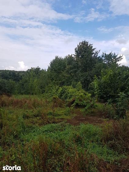 Teren de vanzare in Bucium, 1000mp, acces asfaltat - 2