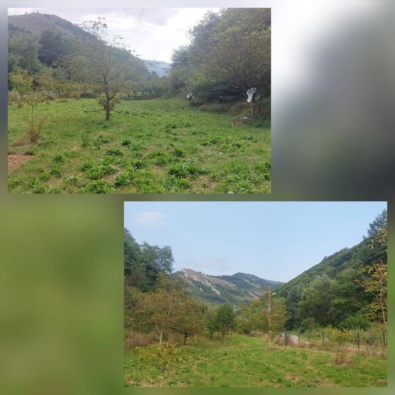 Teren de 7000 mp, în Voia