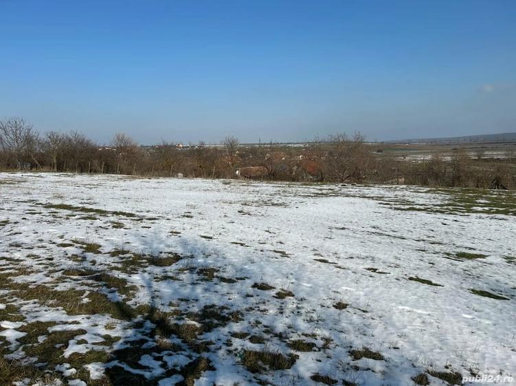 Teren de 1440 mp, în Murani