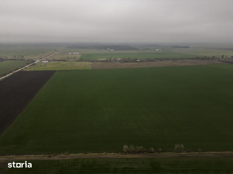 Teren 84000 mp la 20 km de Arad, la DN79 - 1