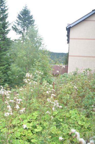 Teren de 1300 mp, în Valea Alba