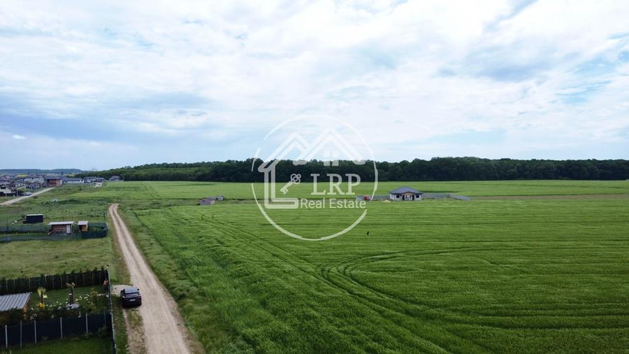 Teren Construcții intravilan de 25000 mp, în Dascălu