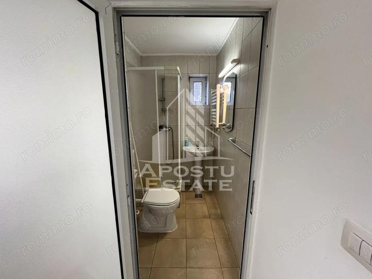 Spațiu comercial, de 42 mp, în Șagului