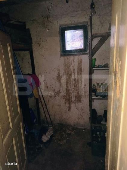 Casă cu 3 camere în Topa Mică