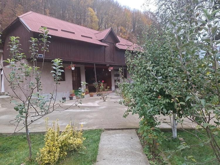 Casă cu 10 camere cu Teren 1500 Mp în Lepșa