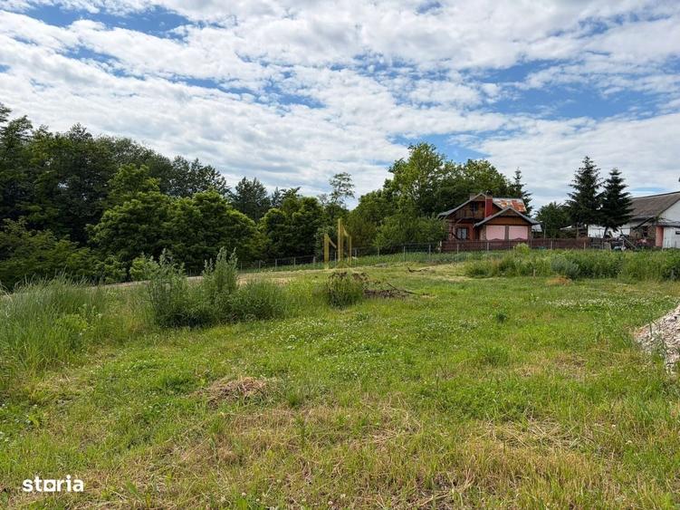 Teren intravilan in Patrauti zona centrala, liniste si natura - 7