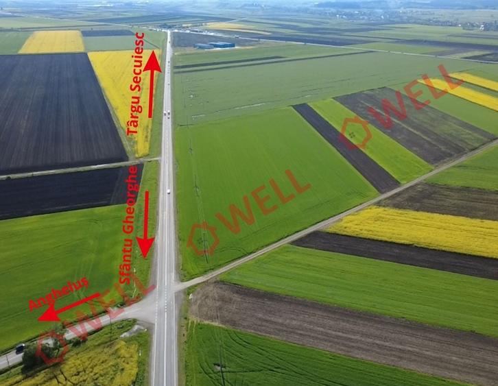 Teren intravilan de 32710 mp, în Periferie
