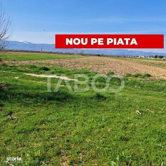Spațiu comercial, în Roșia