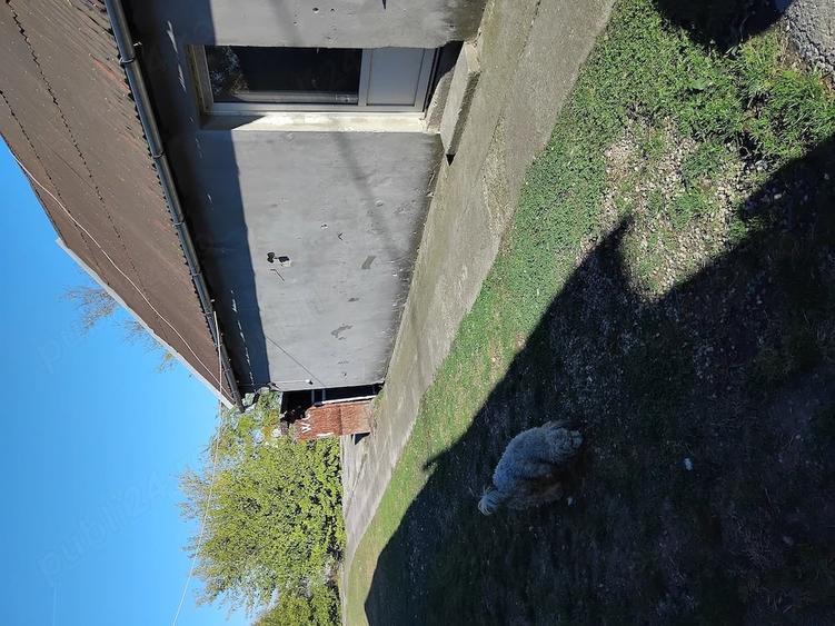 Casă cu 3 camere cu Teren 1400 Mp în Central