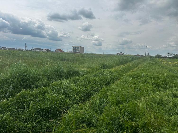Teren Construcții intravilan de 1000 mp, în Tuzla