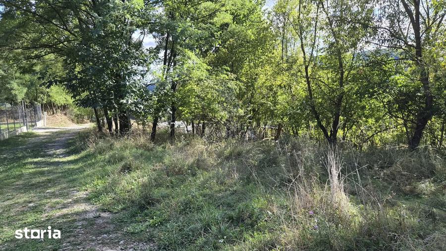 Teren de 1142 mp, în Vlădești