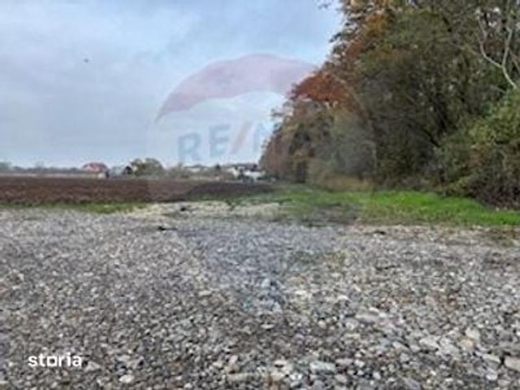 Teren Snagov /Soseaua Vladiceasca 553 sau 1109 mp Liziera Padurii - 3