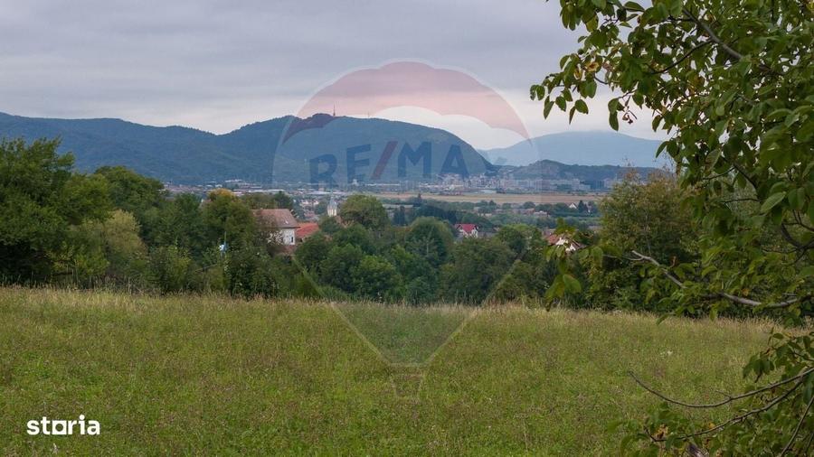 Spațiu comercial, în Poiana Angelescu
