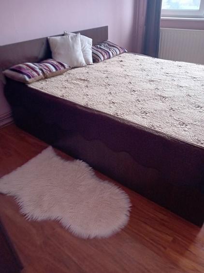 Apartament cu 2 camere decomandat în Aleea Carpați