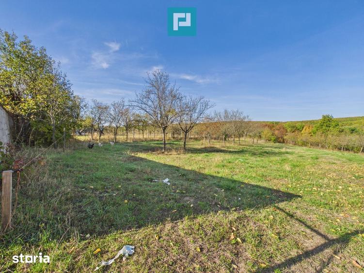 Casă cu 6 camere cu Teren 2610 Mp în Hidiș