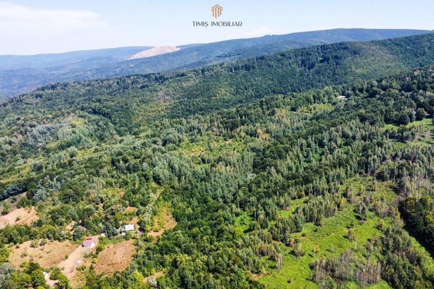Teren Construcții intravilan de 4173 mp, în Văliug