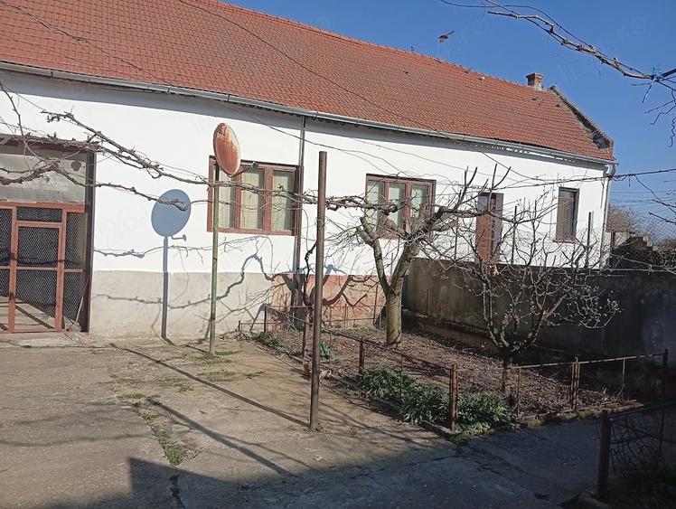 Casă cu Teren 1820 Mp în Var