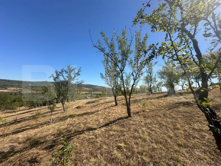Casă individuală cu 2 camere cu Teren 3000 Mp în Bârsău