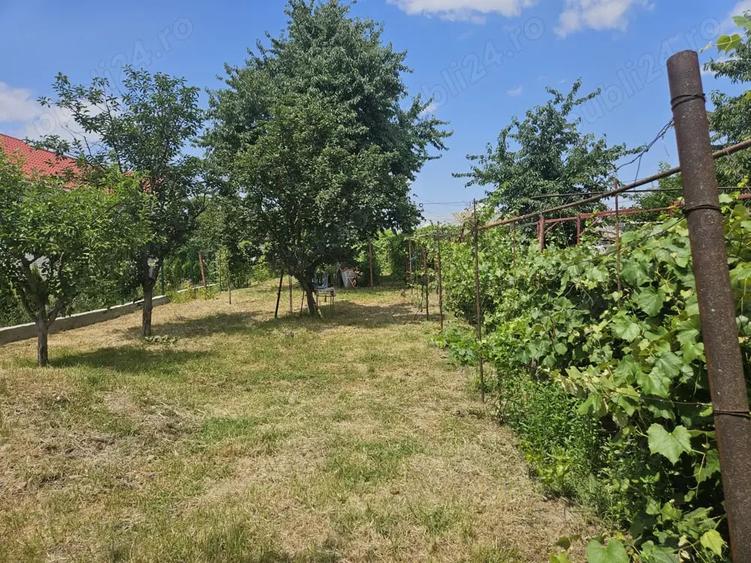 Teren de 455 mp, în Letea Veche
