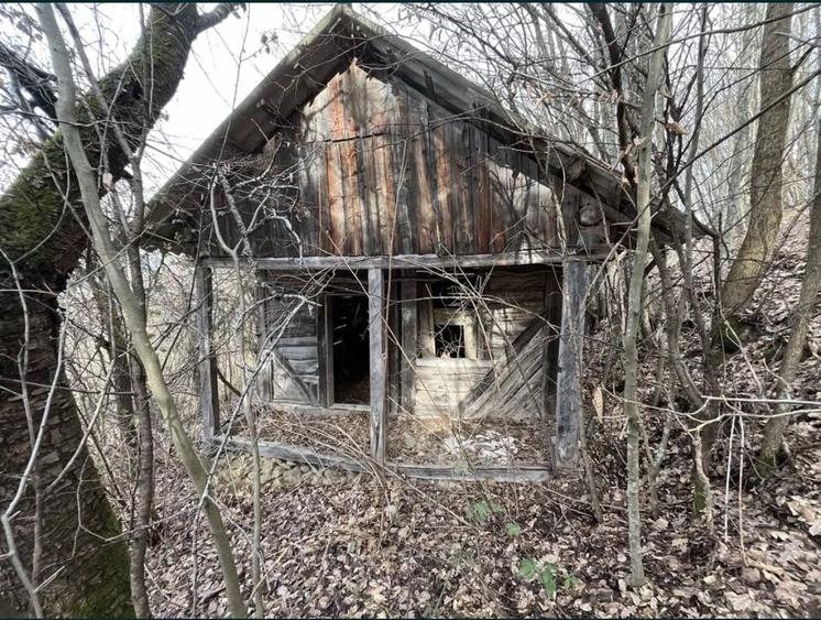 Teren de 20000 mp, în Brusturi