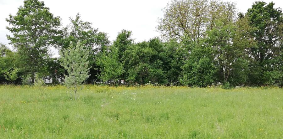 Teren de 11500 mp, în Vărădia de Mureș