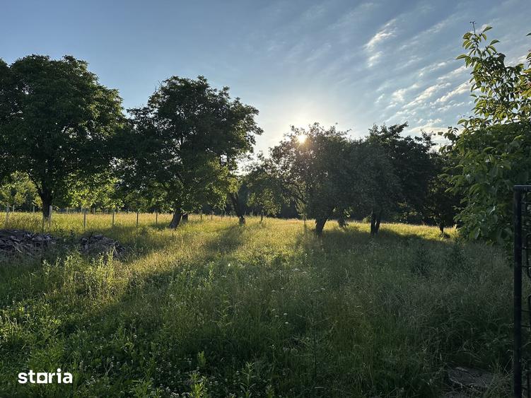 Casă cu 7 camere cu Teren 4000 Mp în Strâmba