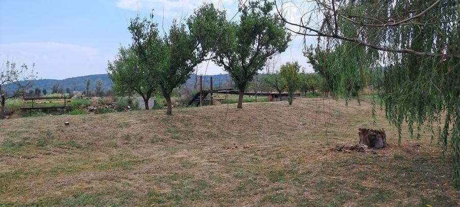 Casă cu 2 camere în Central