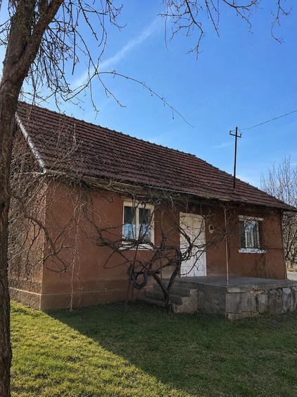 Casă cu Teren 1600 Mp în Dăbâca