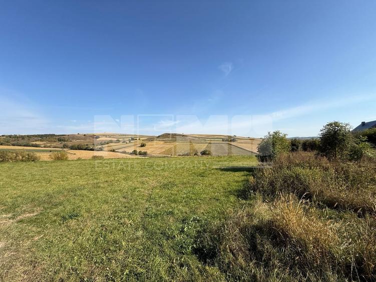 Teren Construcții intravilan de 4000 mp, în Burla