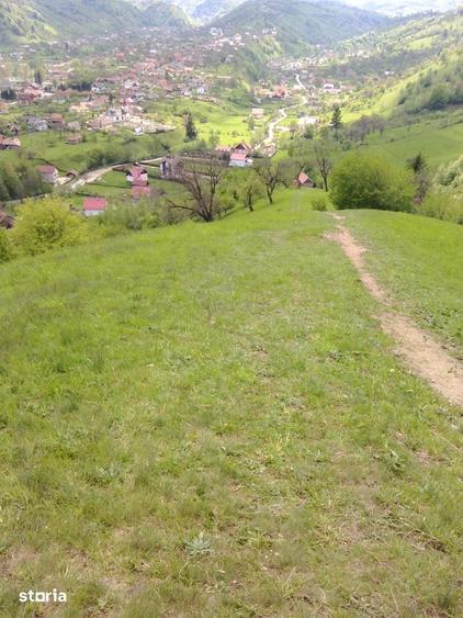 Teren intravilan de vanzare Moieciu de Jos - 5