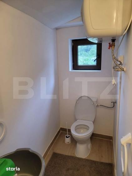 Casă cu 5 camere cu Teren 48000 Mp în Vărădia de Mureș