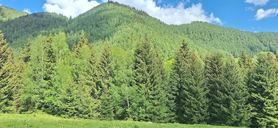 Teren de 300 mp, în Râu de Mori